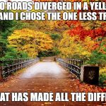 Autumn bridge | TWO ROADS DIVERGED IN A YELLOW WOOD AND I CHOSE THE ONE LESS TRAVELED; AND THAT HAS MADE ALL THE DIFFERENCE | image tagged in autumn bridge | made w/ Imgflip meme maker