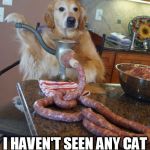 dog sausages | CAT? WHAT CAT? I HAVEN'T SEEN ANY CAT | image tagged in dog sausages | made w/ Imgflip meme maker