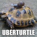 Snail riding turtle | UBERTURTLE | image tagged in snail riding turtle,uber,snail,turtle | made w/ Imgflip meme maker