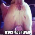 Jesus dog butt | JESUS FACE REVEAL | image tagged in jesus dog butt | made w/ Imgflip meme maker