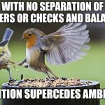 Bird Sparta | WITH NO SEPARATION OF POWERS OR CHECKS AND BALANCES; AMBITION SUPERCEDES AMBITION | image tagged in bird sparta | made w/ Imgflip meme maker