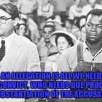 To Kill A Mockingbird | AN ALLEGATION IS ALL WE NEED TO CONVICT, WHO NEEDS DUE PROCESS OR SUBSTANTIATION OF THE ACCUSATION? | image tagged in to kill a mockingbird | made w/ Imgflip meme maker