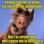 Keep your nose | People tell me to keep my nose to the grindstone; But I’m afraid that will cause me to lose face | image tagged in alf,memes,nose,bad pun | made w/ Imgflip meme maker