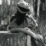 Kermit Vintage Photo meme