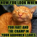 HOW YOU LOOK | HOW YOU LOOK WHEN; YOU FART AND THE CRAMP IN YOUR ABDOMEN LEAVES | image tagged in how you look | made w/ Imgflip meme maker