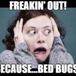 Freak Out over Bed Bugs | FREAKIN' OUT! BECAUSE...BED BUGS! | image tagged in big freak out,bed bugs,freaking out,freak out,scared of bed bugs | made w/ Imgflip meme maker