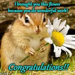 Chipmunk | I brought you this flower because you do wonderful work! Congratulations!! | image tagged in chipmunk | made w/ Imgflip meme maker