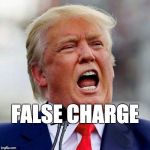 False charge. | FALSE CHARGE | image tagged in trump | made w/ Imgflip meme maker