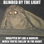 Moth lamp | BLINDED BY THE LIGHT; WRAPPED UP LIKE A DOUCHE WHEN YOU’RE ROLLIN’ IN THE NIGHT. | image tagged in moth lamp | made w/ Imgflip meme maker