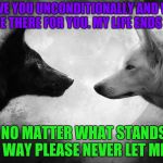 light vs dark wolves | I LOVE YOU UNCONDITIONALLY AND WILL ALWAYS BE THERE FOR YOU. MY LIFE ENDS WITH YOU. SO NO MATTER WHAT STANDS IN OUR WAY PLEASE NEVER LET ME GO.. | image tagged in light vs dark wolves | made w/ Imgflip meme maker