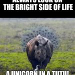 Unicorn in a tutu | ALWAYS LOOK ON THE BRIGHT SIDE OF LIFE; A UNICORN IN A TUTU! | image tagged in unicorn in a tutu | made w/ Imgflip meme maker