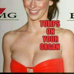 Dirty Meme Week, Sep. 24 - 30, a socrates event! | WHAT'S BETTER THAN ROSES ON YOUR PIANO? TULIPS ON YOUR ORGAN | image tagged in jennifer love hewitt joke template,jennifer love hewitt,jbmemegeek,dirty meme week,bad puns | made w/ Imgflip meme maker