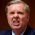 Gay Lindsey Graham