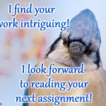 Blue jay | I find your work intriguing! I look forward to reading your next assignment! | image tagged in blue jay | made w/ Imgflip meme maker
