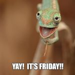 YAY! IT'S FRIDAY!! | YAY!  IT'S FRIDAY!! SISSKIND CHIROPRACTIC | image tagged in yay it's friday | made w/ Imgflip meme maker