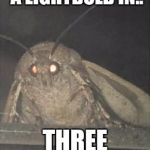 Moth | I AIN'T SEEN A LIGHTBULB IN.. THREE DAMN DAYS... | image tagged in moth | made w/ Imgflip meme maker
