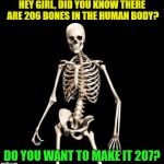 Skeleton Pick up Liner | HEY GIRL, DID YOU KNOW THERE ARE 206 BONES IN THE HUMAN BODY? DO YOU WANT TO MAKE IT 207? | image tagged in skeleton pick up liner,memes,funny,pick up lines | made w/ Imgflip meme maker