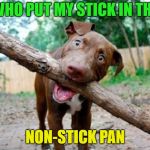 A sticky situation | WHO PUT MY STICK IN THE; NON-STICK PAN | image tagged in dog stick,memes,funny,front page | made w/ Imgflip meme maker