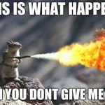 Flame War Squirrel | THIS IS WHAT HAPPENS; WHEN YOU DONT GIVE ME NUTS | image tagged in flame war squirrel | made w/ Imgflip meme maker