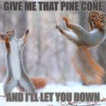 Magic | GIVE ME THAT PINE CONE; AND I'LL LET YOU DOWN | image tagged in magic | made w/ Imgflip meme maker