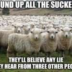 Democrats are Sheep | ROUND UP ALL THE SUCKERS; THEY’LL BELIEVE ANY LIE THEY HEAR FROM THREE OTHER PEOPLE | image tagged in democrats are sheep | made w/ Imgflip meme maker