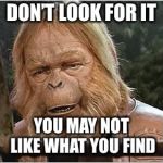 Dr. Zaius warned you | DON’T LOOK FOR IT; YOU MAY NOT LIKE WHAT YOU FIND | image tagged in dr zaius,fbi investigation,brett kavanaugh,christine blasey ford,memes | made w/ Imgflip meme maker