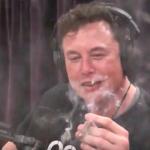 High Elon Musk