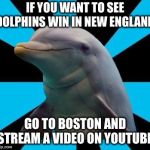 You can see Dolphins win in New England...on YouTube | IF YOU WANT TO SEE DOLPHINS WIN IN NEW ENGLAND, GO TO BOSTON AND STREAM A VIDEO ON YOUTUBE. | image tagged in dolphin,memes,patriots,youtube,boston,video | made w/ Imgflip meme maker