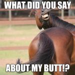 funny horse | WHAT DID YOU SAY; ABOUT MY BUTT!? | image tagged in funny horse | made w/ Imgflip meme maker