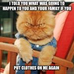 mad cat | I TOLD YOU WHAT WAS GOING TO HAPPEN TO YOU AND YOUR FAMILY IF YOU; PUT CLOTHES ON ME AGAIN | image tagged in mad cat,threat,angry,pissed off | made w/ Imgflip meme maker