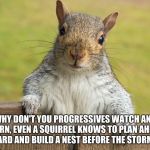 Advice giving squirrel | WHY DON'T YOU PROGRESSIVES WATCH AND LEARN, EVEN A SQUIRREL KNOWS TO PLAN AHEAD, WORK HARD AND BUILD A NEST BEFORE THE STORMS COME. | image tagged in advice giving squirrel | made w/ Imgflip meme maker
