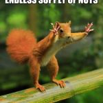 Listen Up People | FOLLOW ME I HAVE FOUND AN ENDLESS SUPPLY OF NUTS; THEY ARE ALL ON IMGFLIP | image tagged in wait a minute squirrel,memes,funny,crazy | made w/ Imgflip meme maker