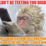 monkey cell phone | I WOULDN'T BE TEXTING YOU RIGHT NOW; BUT I WANTED SOME ASS AND YOUR NUMBER WAS THE ONLY ONE I COULD REMEMBER | image tagged in monkey cell phone | made w/ Imgflip meme maker