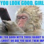 What's the obsession with Snapchat filters? Does every 10-40 year old girl have a "furry" fetish? | YOU LOOK GOOD, GIRL; WERE YOU BORN WITH THOSE RABBIT EARS AND DOG SNOUT, OR DID YOU HAVE THEM IMPLANTED? | image tagged in monkey cell phone,snapchat,snapchat filter,furry | made w/ Imgflip meme maker