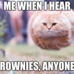 Hover Cat | ME WHEN I HEAR; "BROWNIES, ANYONE?" | image tagged in hover cat | made w/ Imgflip meme maker