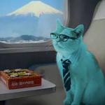 RayCat on Fuji train meme