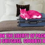 RayCat does not mess around | I TOOK THE LIBERTY OF PACKING YOUR SUITCASE.  GOODBYE BRIAN. | image tagged in raycat kicks to the curb,memes | made w/ Imgflip meme maker