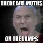 Picards four lights have moths on them now. | THERE ARE MOTHS; ON THE LAMPS | image tagged in picard four lights,moth,lamp,i love lamp | made w/ Imgflip meme maker