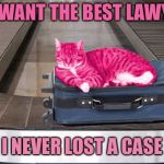 Dewey, Cheatem, and Howe | YOU WANT THE BEST LAWYER? I NEVER LOST A CASE | image tagged in raycat travelling carousel,memes | made w/ Imgflip meme maker