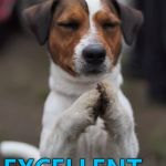 Mr Burns gets reincarnated... :) | EXCELLENT... | image tagged in praying dog,memes,mr burns,the simpsons,animals,dogs | made w/ Imgflip meme maker