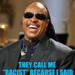 I mean you can't get more colorblind than that!!! | THEY CALL ME "RACIST" BECAUSE I SAID EVERYONE I SEE IS BLACK | image tagged in stevie wonder,memes,racism,funny,blind,truly colorblind | made w/ Imgflip meme maker
