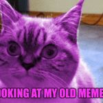 RayCat derp | LOOKING AT MY OLD MEMES | image tagged in raycat derp,memes | made w/ Imgflip meme maker