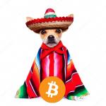 Hi this is BitMEX from BitMexico