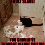 DESTRUCTION CAT | IT'S YOUR FAULT SLAVE! YOU SHOULD'VE THOUGHT BEFORE CALLING ME A DUMB BUTT LICKER | image tagged in destruction cat | made w/ Imgflip meme maker