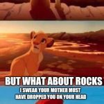 simba | ALL LIVING THINGS HAVE A SOUL; BUT WHAT ABOUT ROCKS; I SWEAR YOUR MOTHER MUST HAVE DROPPED YOU ON YOUR HEAD | image tagged in simba | made w/ Imgflip meme maker