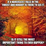 Autumn walk | IF A NARCISSIST FALLS IN THE FOREST AND NOBODY IS THERE TO SEE IT, IS IT STILL THE MOST IMPORTANT THING TO EVER HAPPEN? | image tagged in autumn walk | made w/ Imgflip meme maker
