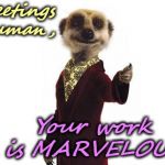 Meerkat | Greetings human, Your work is MARVELOUS! | image tagged in meerkat | made w/ Imgflip meme maker