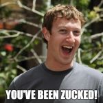 Zuckerberg | YOU'VE BEEN ZUCKED! | image tagged in zuckerberg | made w/ Imgflip meme maker