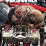 Monkey mechanic | HAND ME THE HUMAN WRENCH | image tagged in monkey mechanic | made w/ Imgflip meme maker