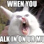 Angry Bunny | WHEN YOU; WALK IN ON UR MUM | image tagged in angry bunny | made w/ Imgflip meme maker